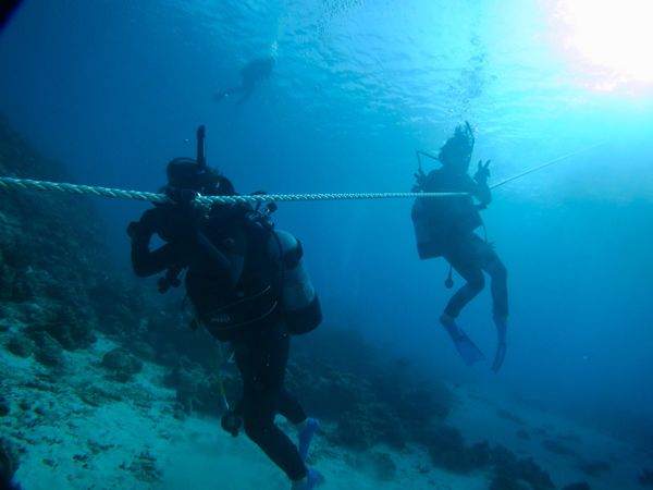 日本「沖縄 OWD🤿」の写真