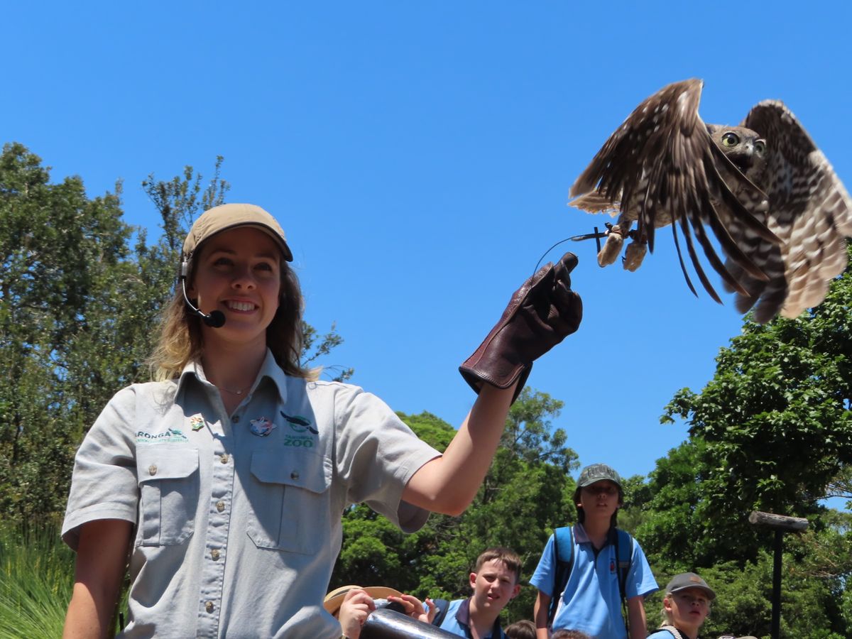 猛禽類もショーに登場
カッコいい！

でも飛ぶタイミングがスムーズすぎて
...