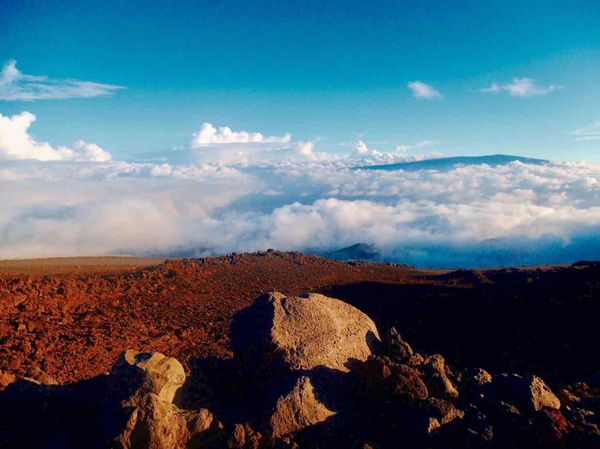 アメリカ(米国)・ハワイ島「Hawaii🌴」の写真