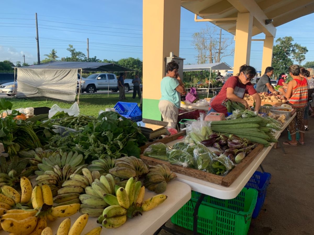 朝市に行った
街中のビーチがきれいで驚いた