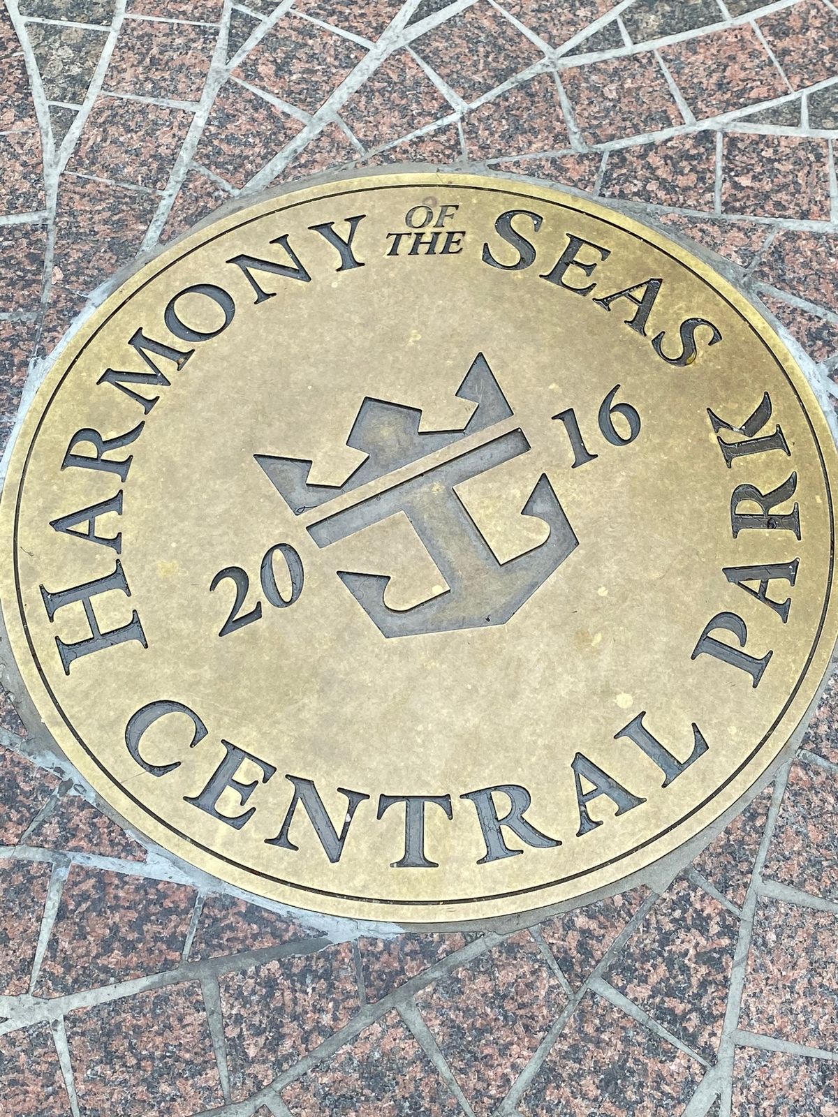 アメリカでのメインはカリブ海クルーズ🛳
プール、スケート、サーフィン、ロッ...