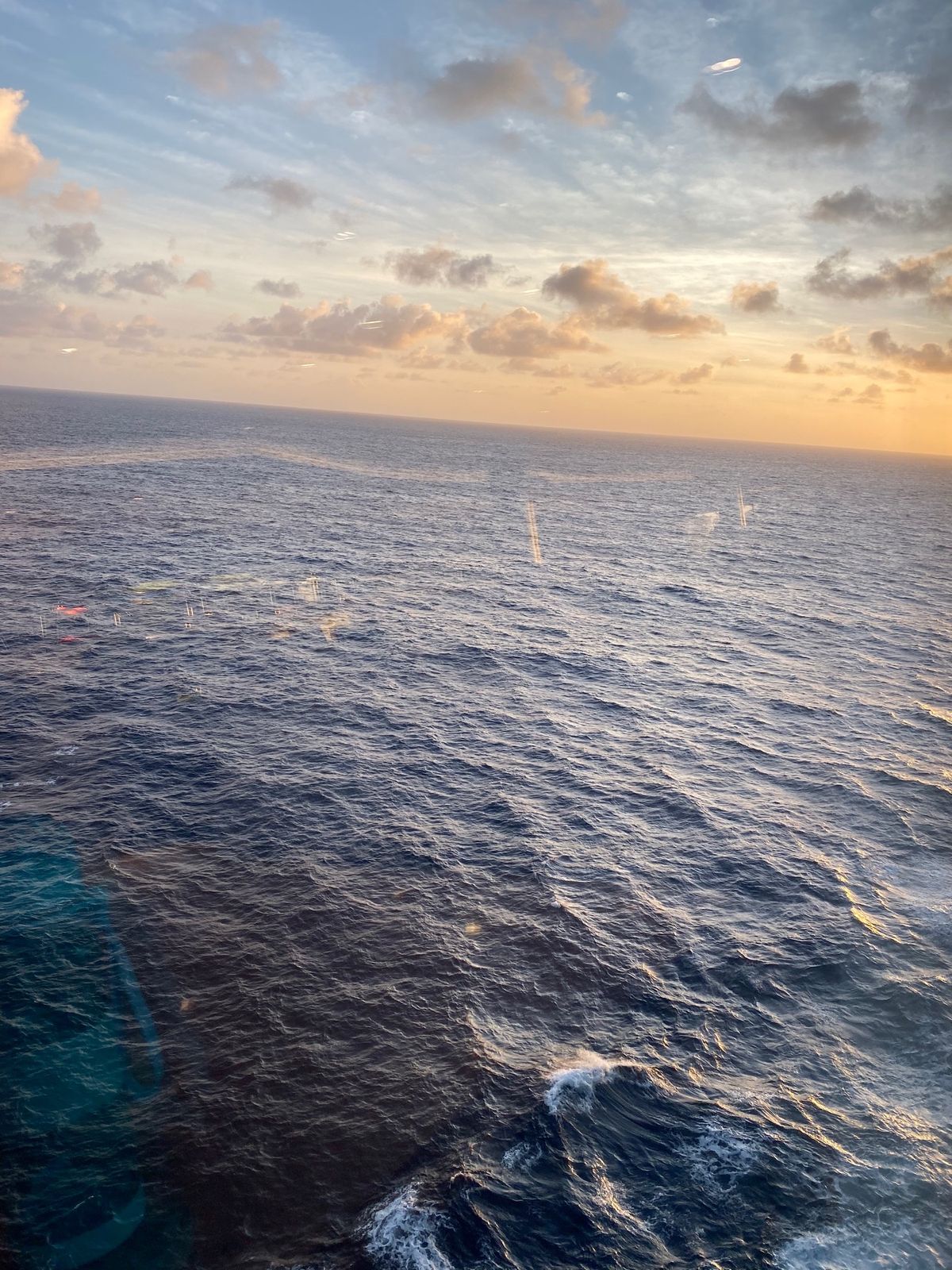 アメリカでのメインはカリブ海クルーズ🛳
プール、スケート、サーフィン、ロッ...
