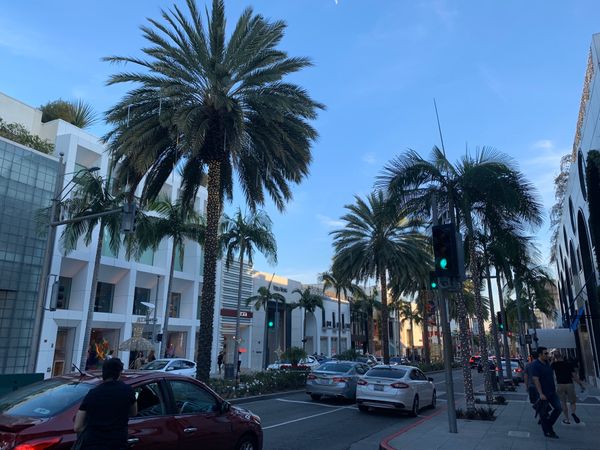 アメリカ(米国)・サンフランシスコ「カリフォルニア州」の写真：Beverly Hills〜rodeo ...