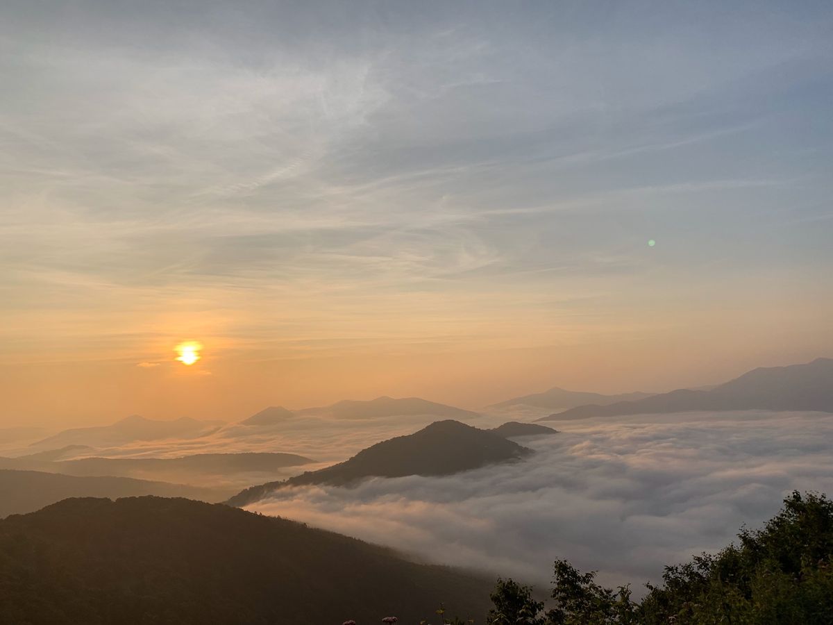 朝5時前にロープウェイで雲海テラスへ！
最高のコンディションでの雲海発生に...