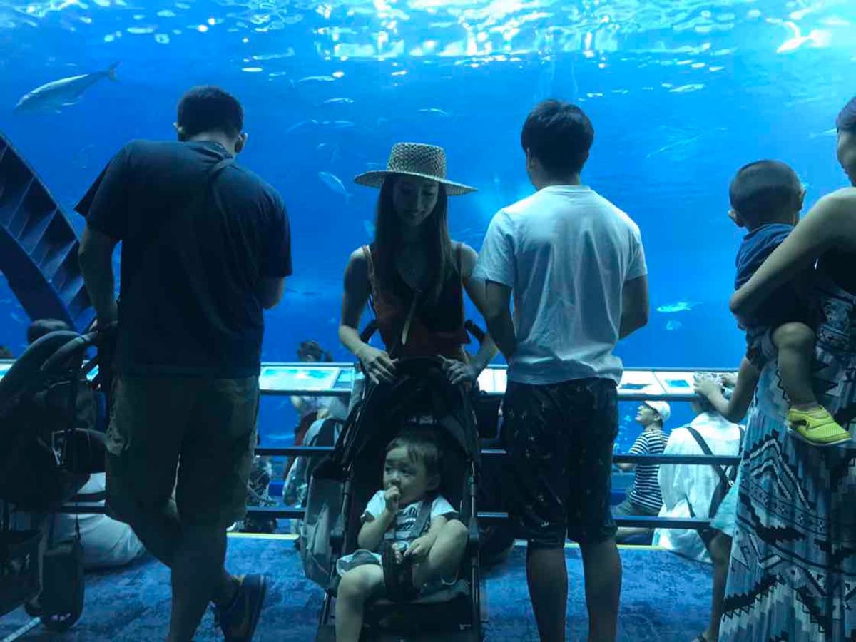 定番、美ら海水族館。
ジンベエザメスポットの横に軽食を食べられる所があるこ...