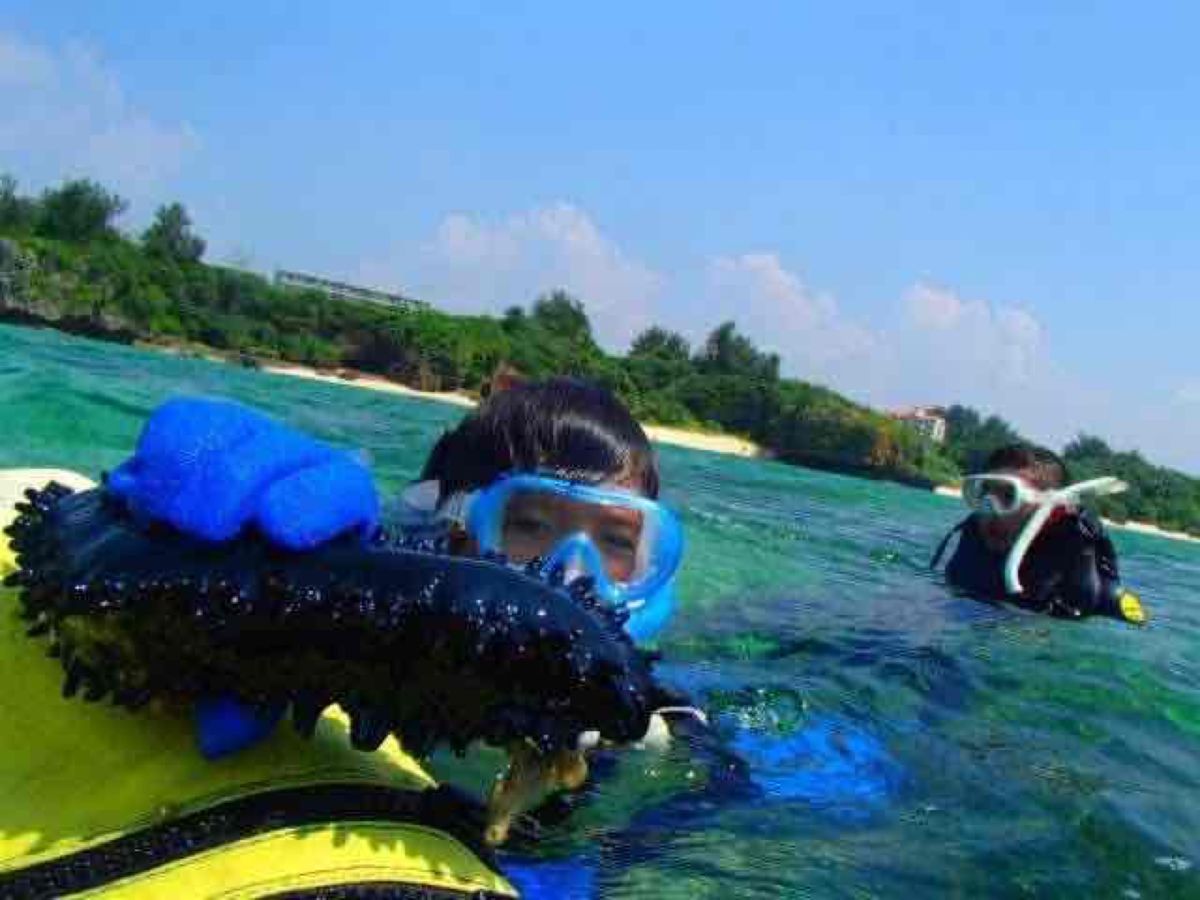 恩納でシュノーケリング。
お魚に餌をあげたり、ナマコに触れたり。ニモも発見...