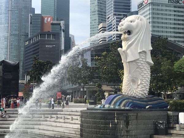 シンガポール「シンガポール🇸🇬@卒業旅行」の写真