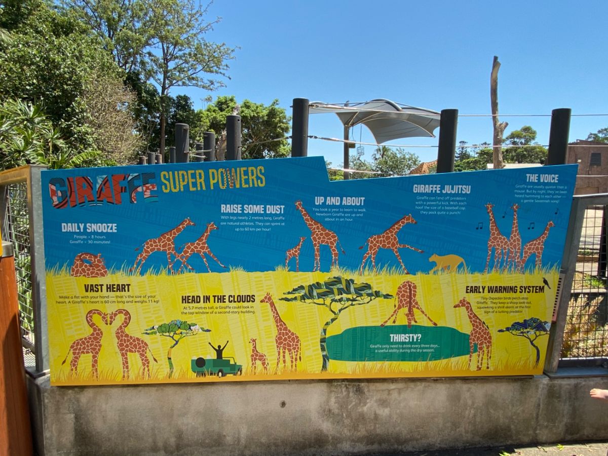 🦒の説明看板可愛い！わかりやすい！