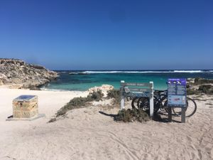 パースに行ったら絶対に行って欲しいロットネスト島。
エイやタコなどいろんな...
