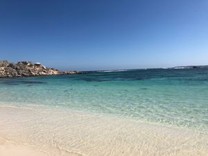 パースに行ったら絶対に行って欲しいロットネスト島。
エイやタコなどいろんな...