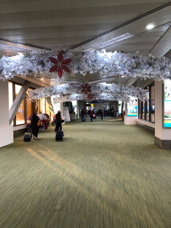 フィリピン・マニラ「マニマニマニラ」の写真：First day