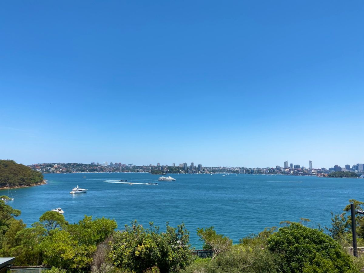 マップにはsealって書いてあったんだけど、
コレってアザラシじゃなくてア...