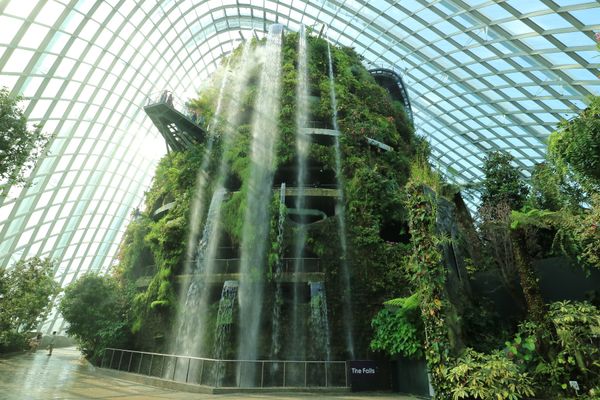 シンガポール「🇸🇬シンガポール〜２歳娘と義父母と義おじおばと旦那と私〜」の写真：ガーデンズ・バイ・ザ・ベイ。広いので結構...