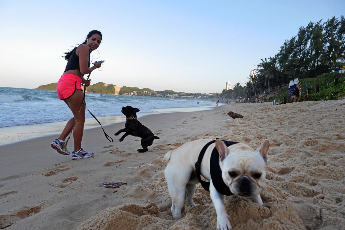 こちらもブラジルのリゾート地、ナタル。
海辺を散歩して、宿でオリンピックの...