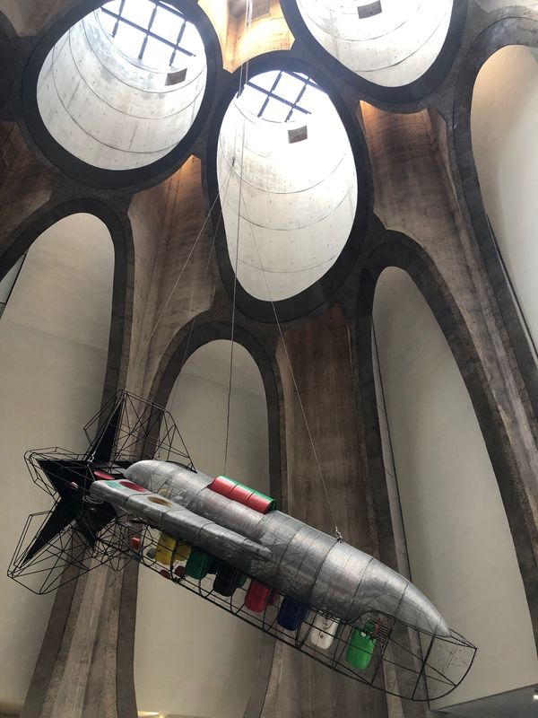 南アフリカ・ケープタウン「ペンギン調査に参加！」の写真：ロベン島に渡る予定が2日連続で船欠航😭
...