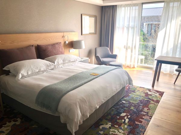 南アフリカ・ケープタウン「ペンギン調査に参加！」の写真：The Vineyard hotel

...