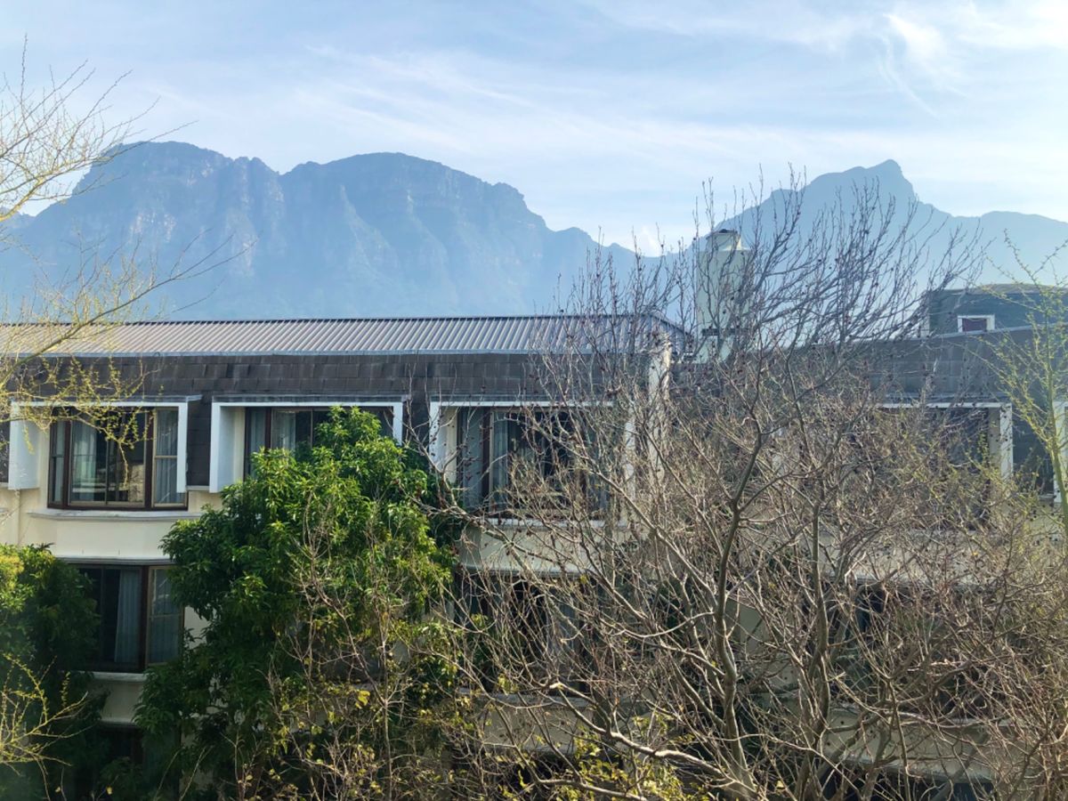 The Vineyard hotel

ペンギン調査のメンバーと合流する1...