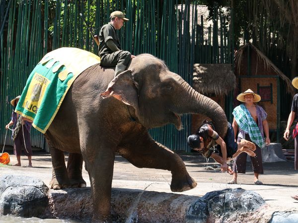 インドネシア・バリ島「６歳娘と旦那とバリ島」の写真：バリサファリのショー。驚きがあって楽しめ...