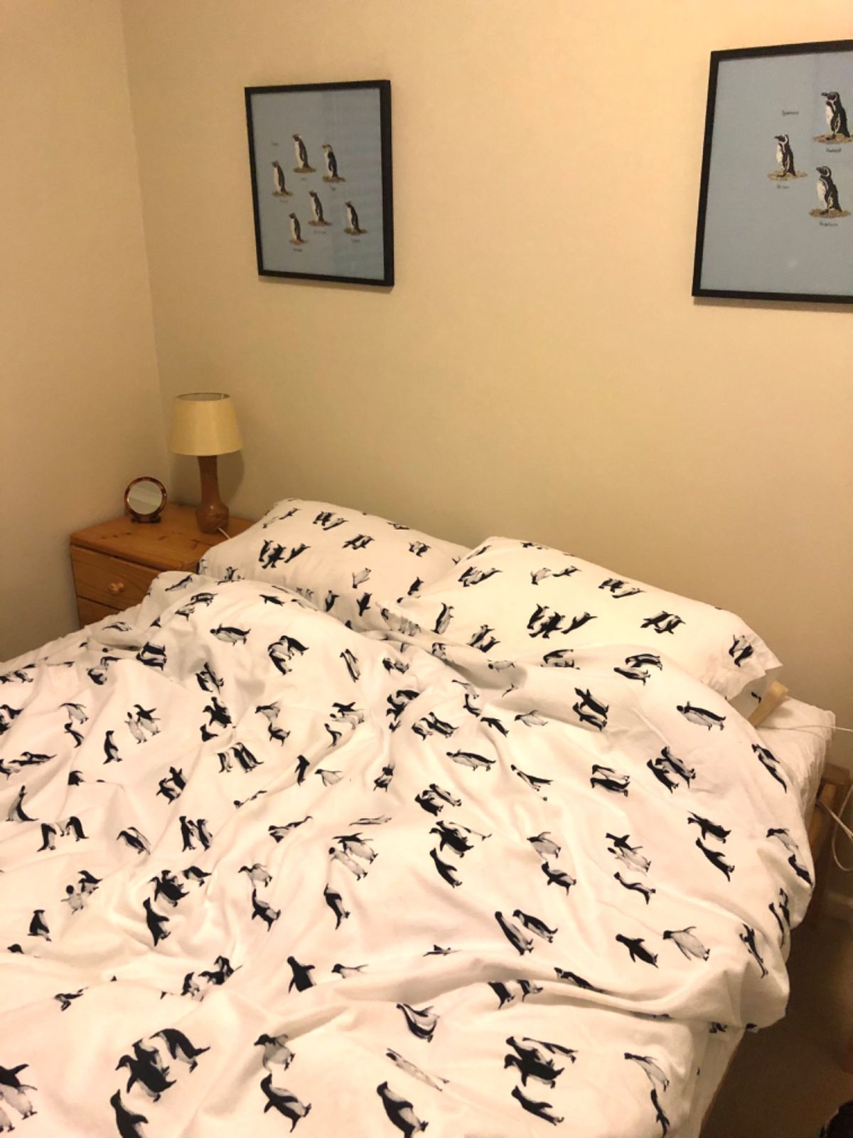 研究スタッフのリサーチハウスは通称ペンギンハウス🐧

家のあちこちに溢れる...