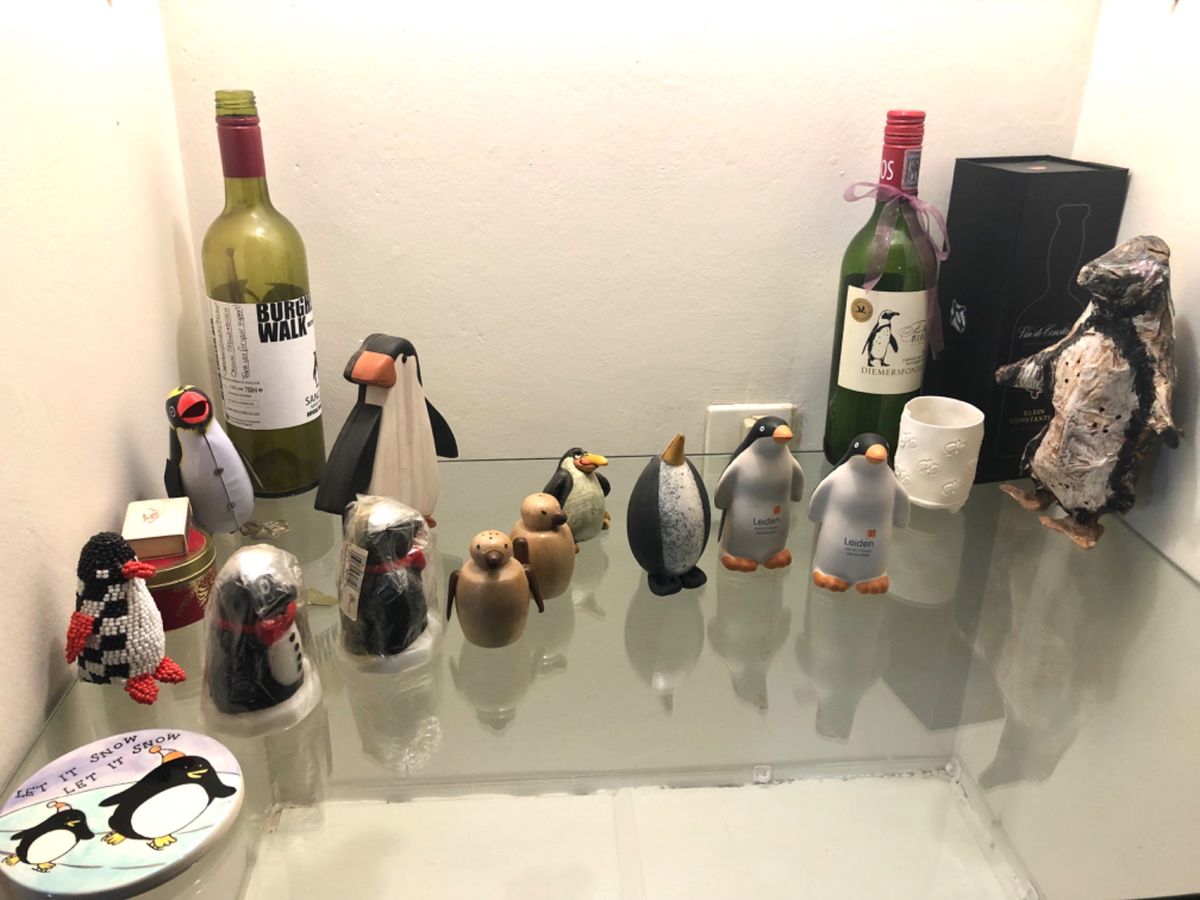 研究スタッフのリサーチハウスは通称ペンギンハウス🐧

家のあちこちに溢れる...