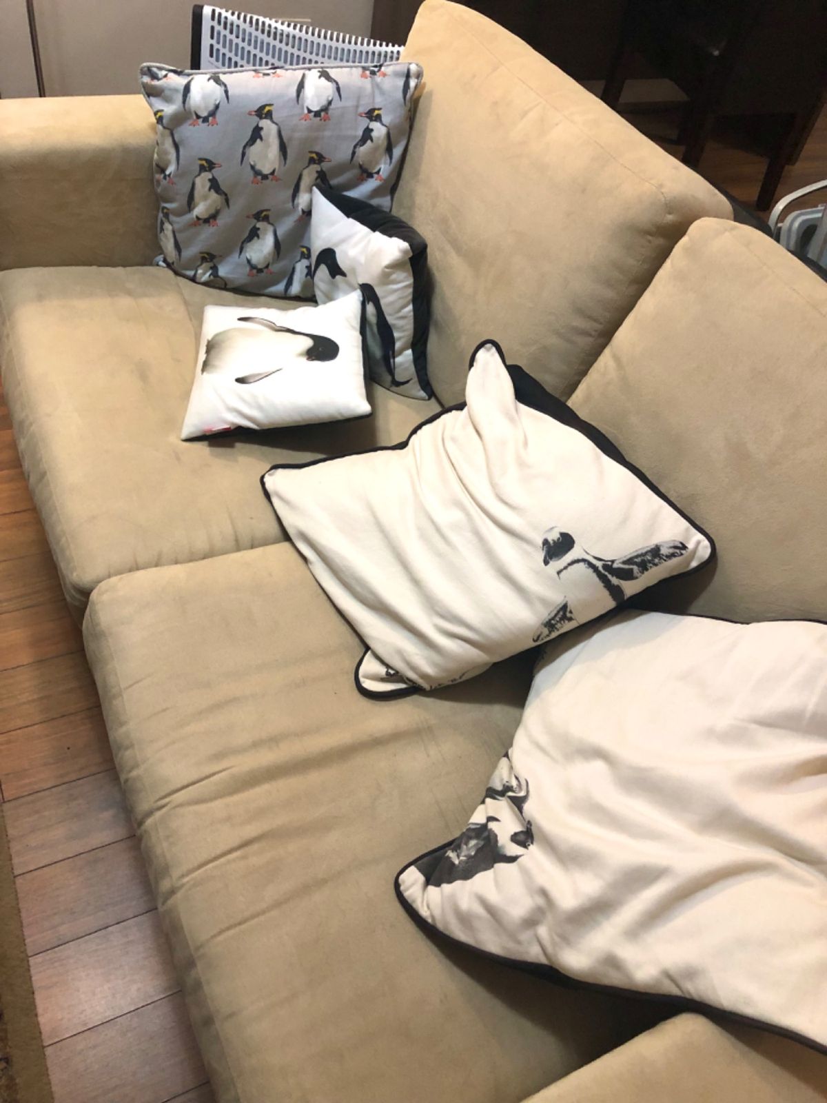 研究スタッフのリサーチハウスは通称ペンギンハウス🐧

家のあちこちに溢れる...