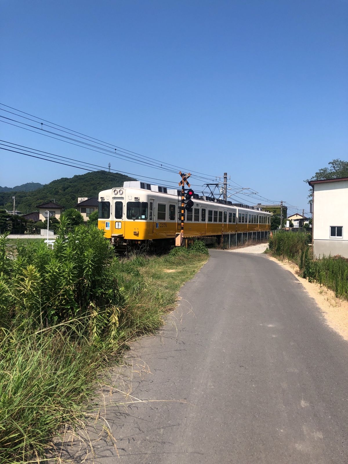 めちゃくちゃ暑かったのでかき氷染みる🍧
ちょうど瀬戸内トリエンナーレの期間...