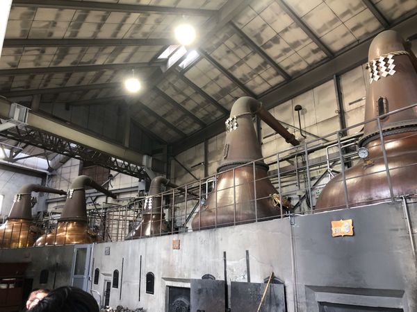 日本・札幌「北海道旅行」の写真