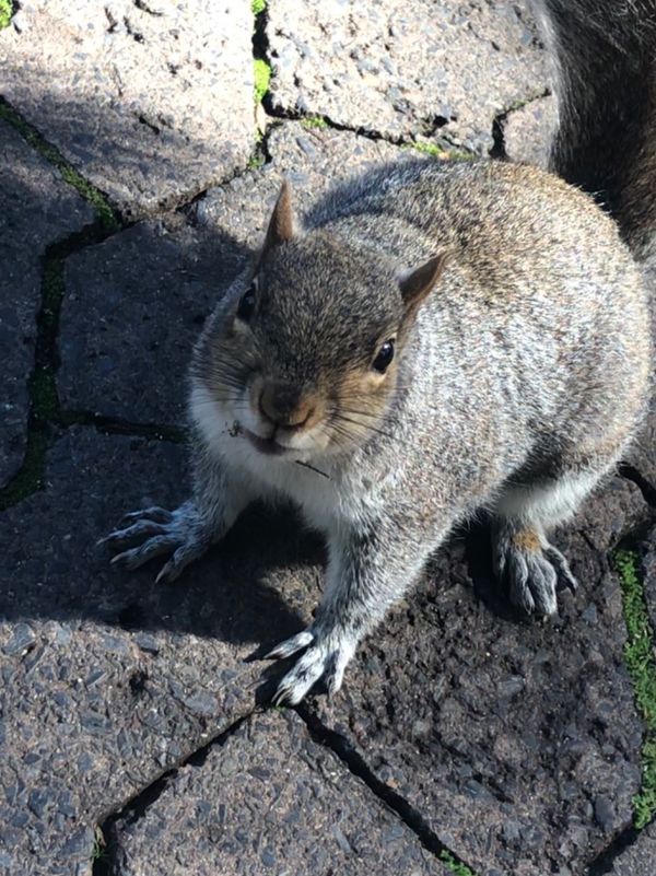南アフリカ・ケープタウン「ペンギン調査に参加！」の写真：ディストリクトシックスの後は南アフリカ博...