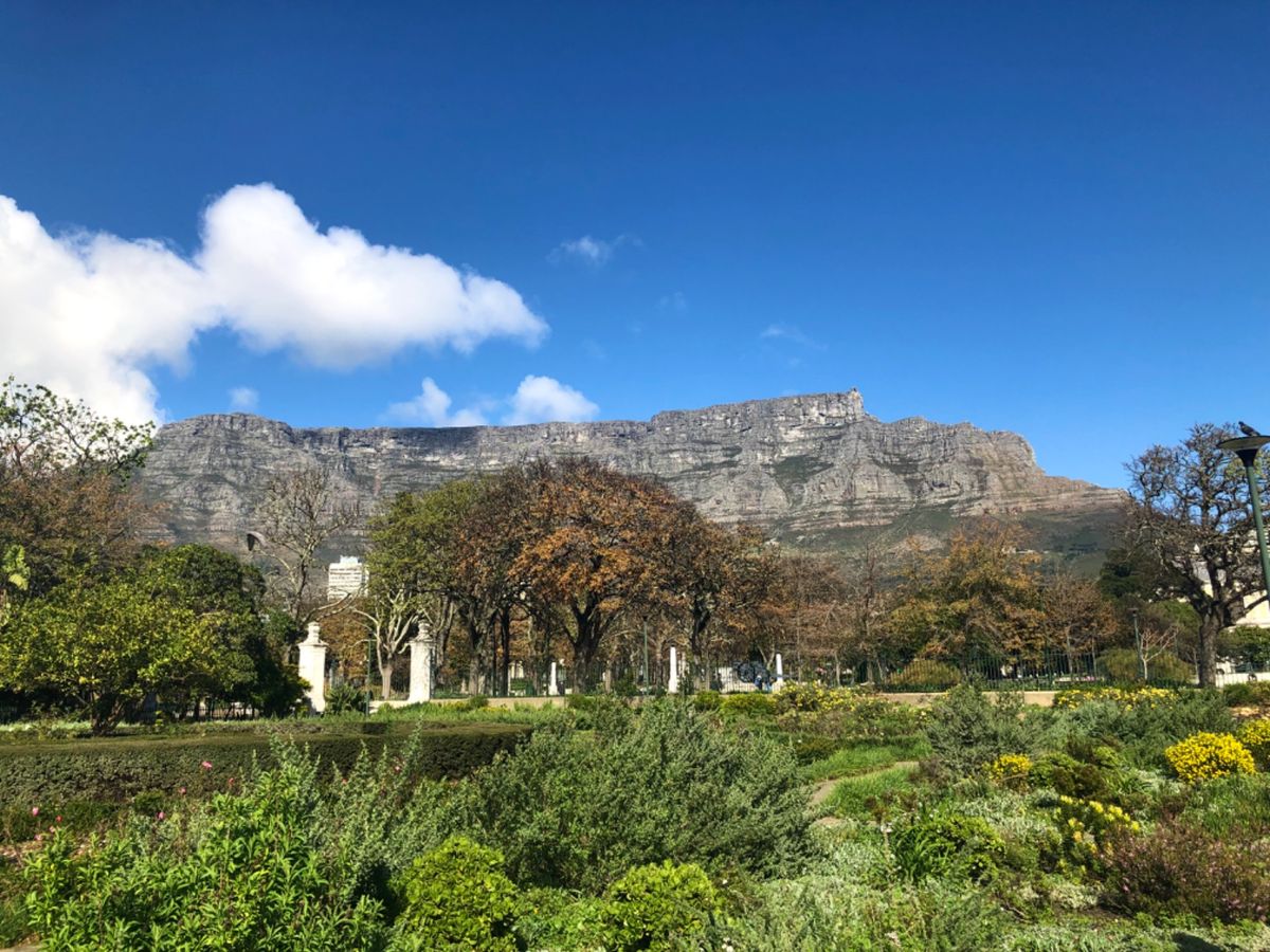 ディストリクトシックスの後は南アフリカ博物館へ行くことに🏃‍♀️
途中カン...