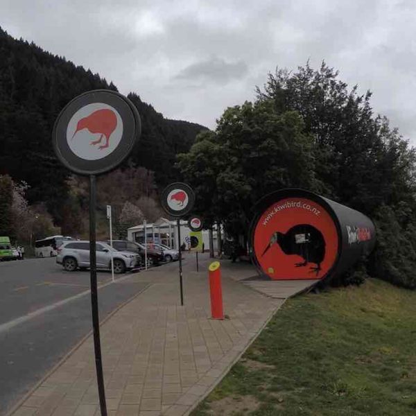 ニュージーランド・オークランド「newzeland」の写真：スキッパーズキャニオンツアーのあとは、キ...