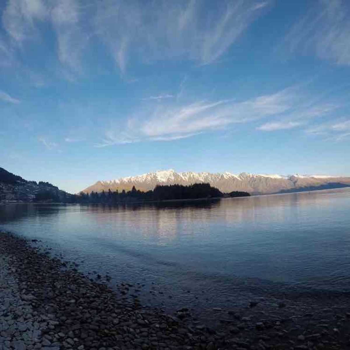 スキッパーズキャニオンツアーのあとは、キーウィバードライフパークやワカティ...