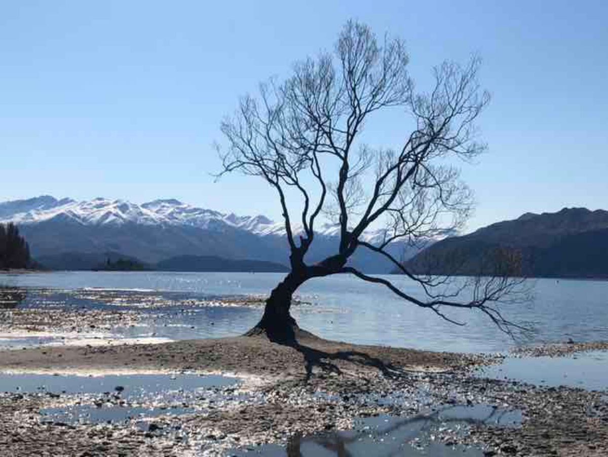 クイーズタウンからクラウン山脈を越えるクラウン・レンジ・ロードからカードロ...