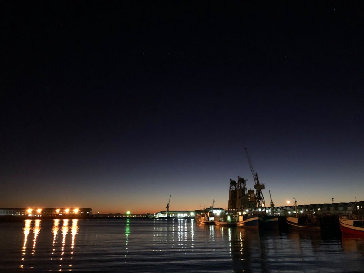 4日目の朝、やっと、やっと、やっとロベン島行きの⛴が出航🙌
私達はペンギン...