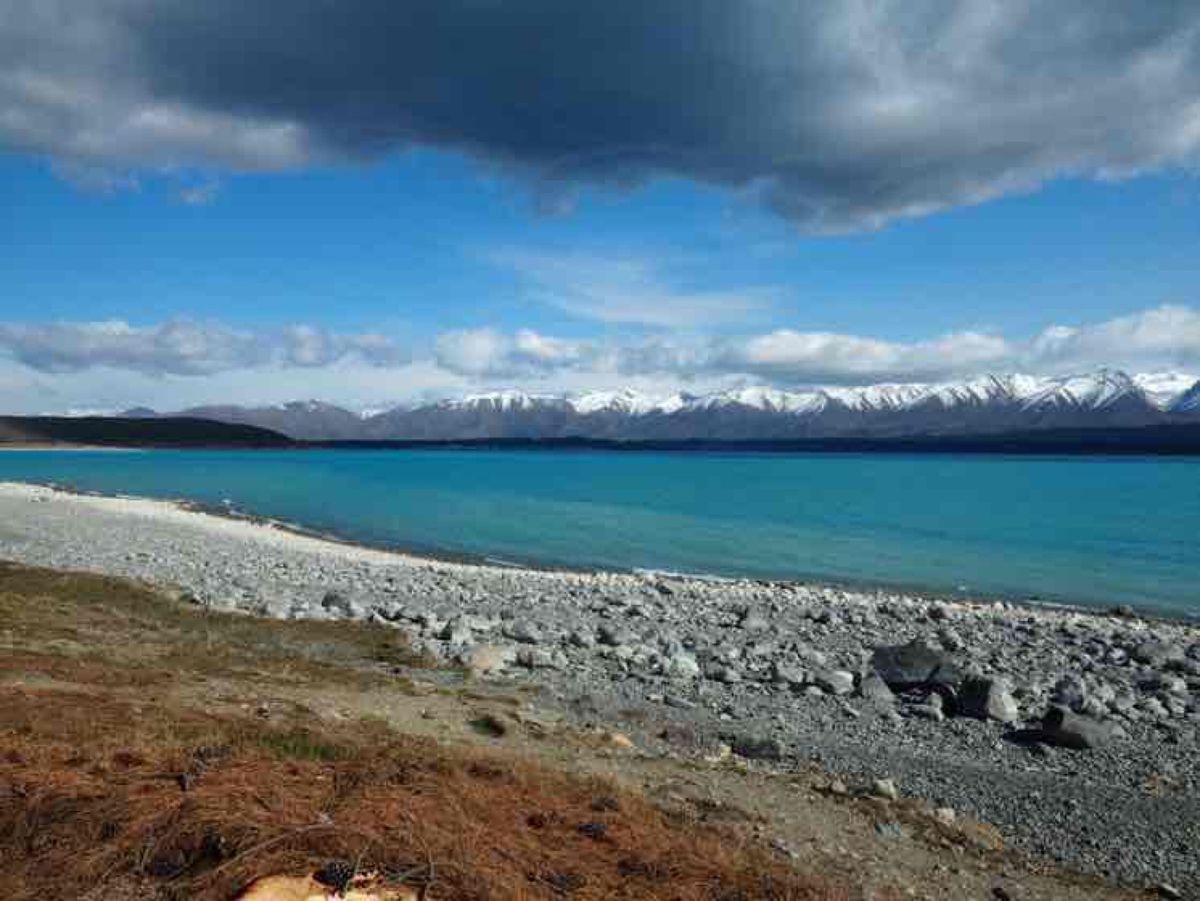 ワナカから8号線を200kmほど走り、トワイゼル、プカキ湖を経由してレイク...