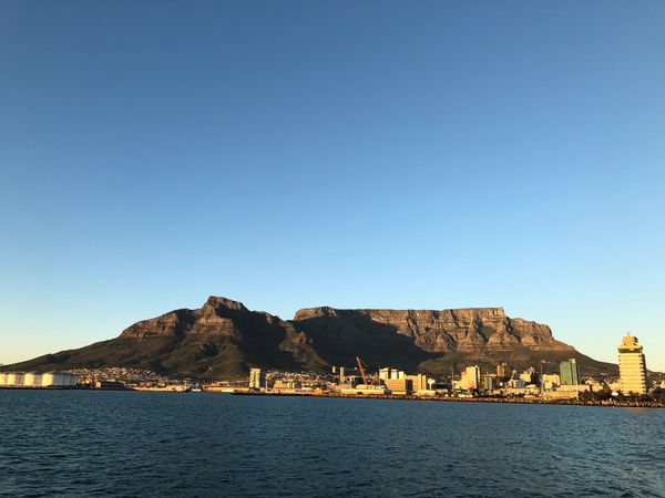 南アフリカ・ケープタウン「ペンギン調査に参加！」の写真：ロベン島への⛴が出航する頃には朝日もだい...