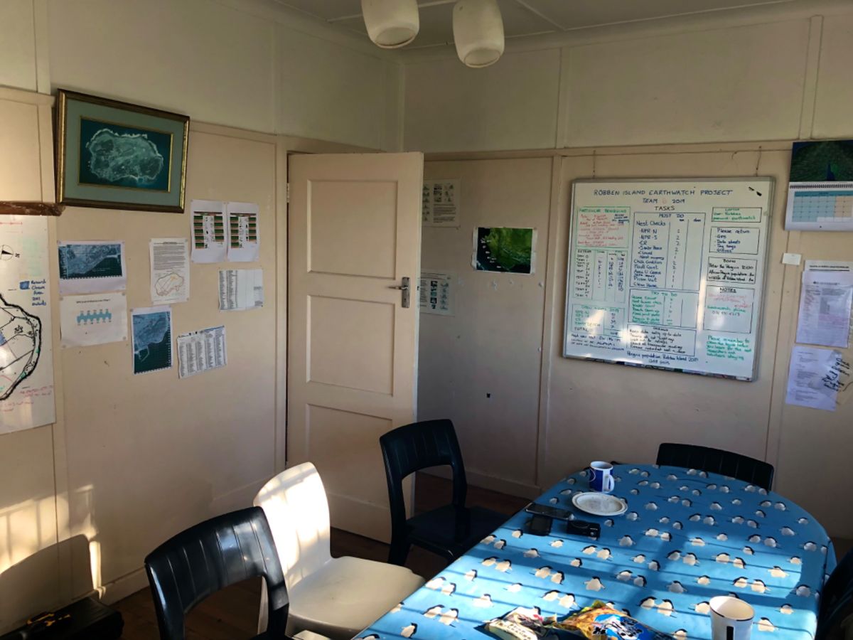 リサーチハウスのダイニング🍽

ここでいつも食事をするんだけど、
この部屋...