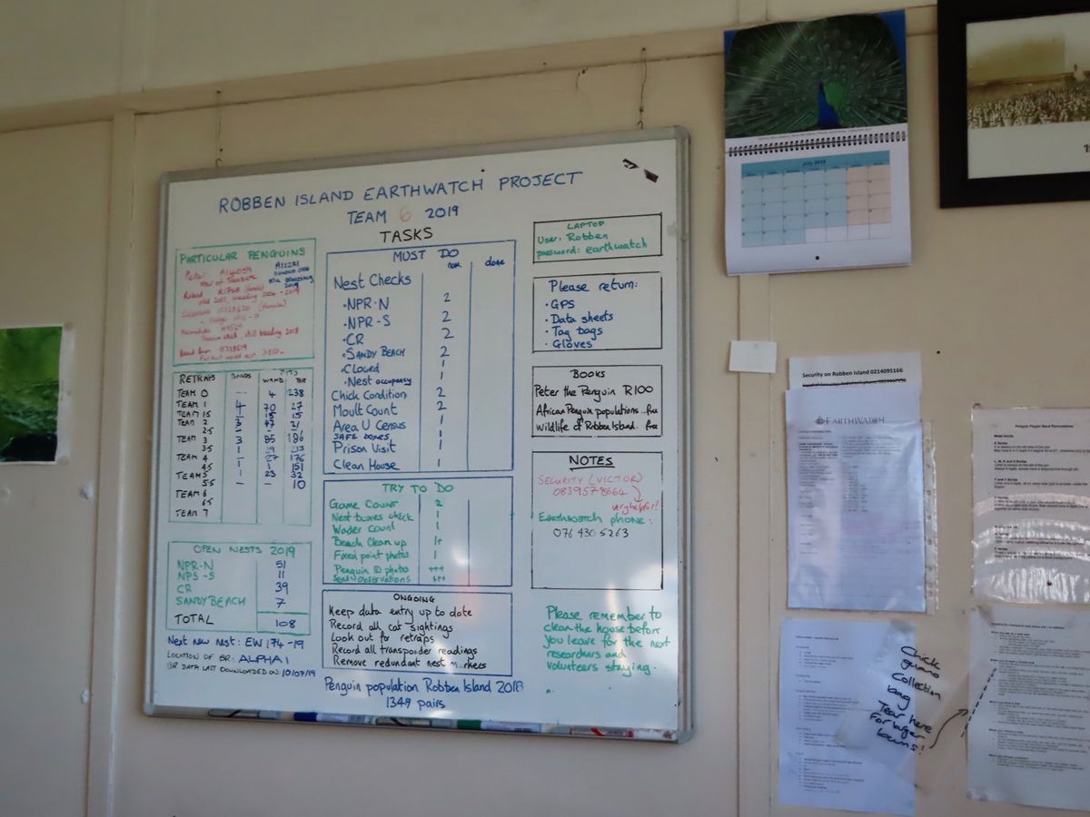 リサーチハウスのダイニング🍽

ここでいつも食事をするんだけど、
この部屋...