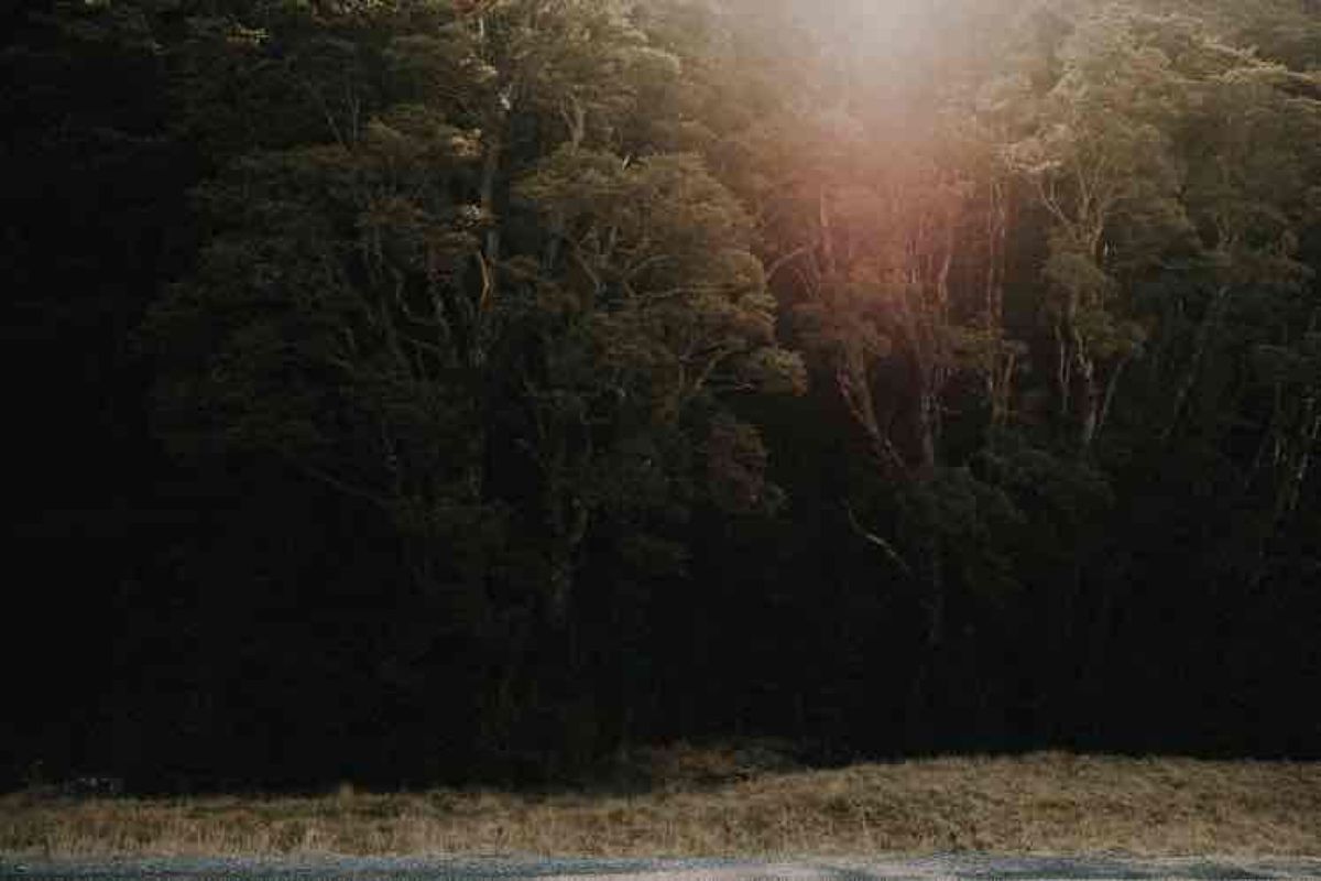 テカポ2日目は、1回目の後撮りの日

日本で現地のプロカメラマンとヘアメイ...