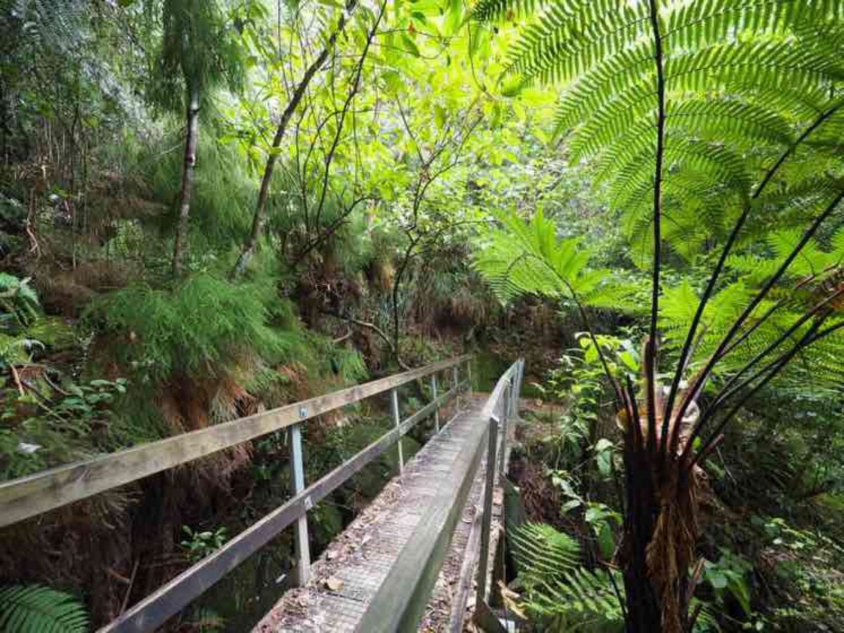 マラハウのロッジを拠点にエイベルタスマン国立公園へ

ここではシーカヤック...