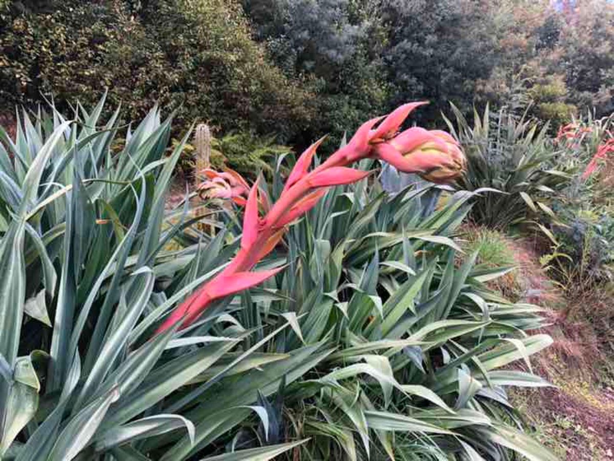 マラハウのロッジを拠点にエイベルタスマン国立公園へ

ここではシーカヤック...