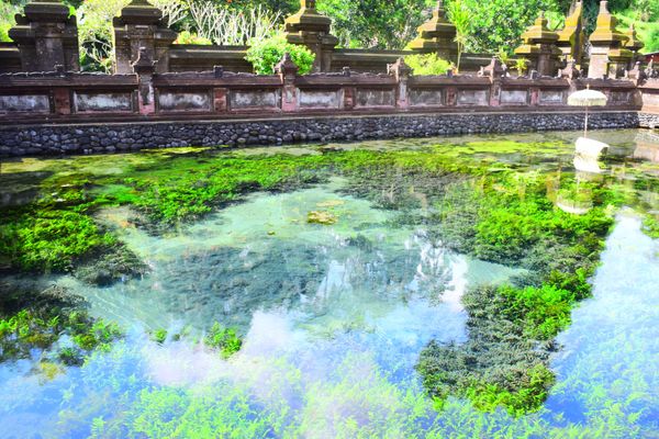 インドネシア・バリ島「バリ島旅行🇮🇩」の写真