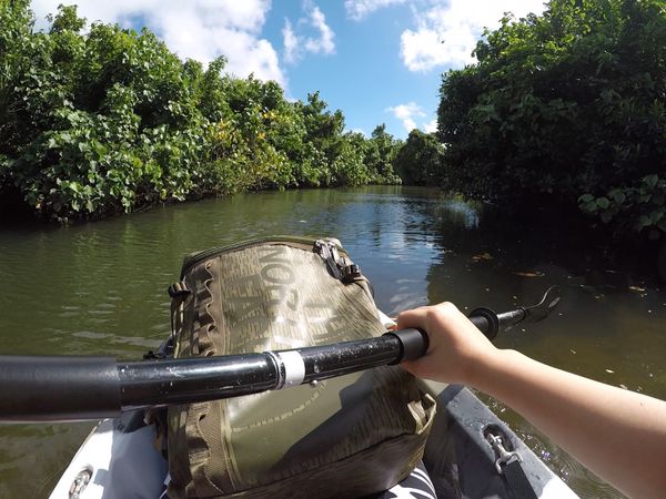 日本・西表島「Iriomote🐠」の写真