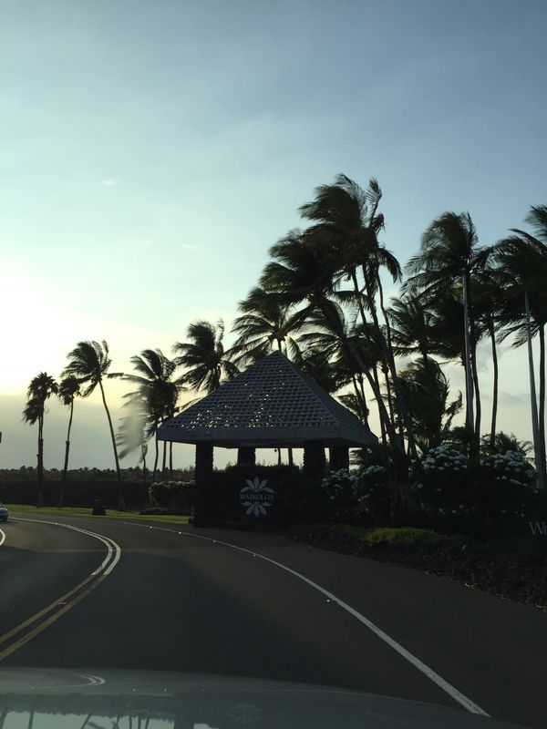アメリカ(米国)・マウナケア「2018 大好きbigisland❤️ ハワイ島家族旅行」の写真：傾いていく太陽に負けじと車を走らせ、お馴...
