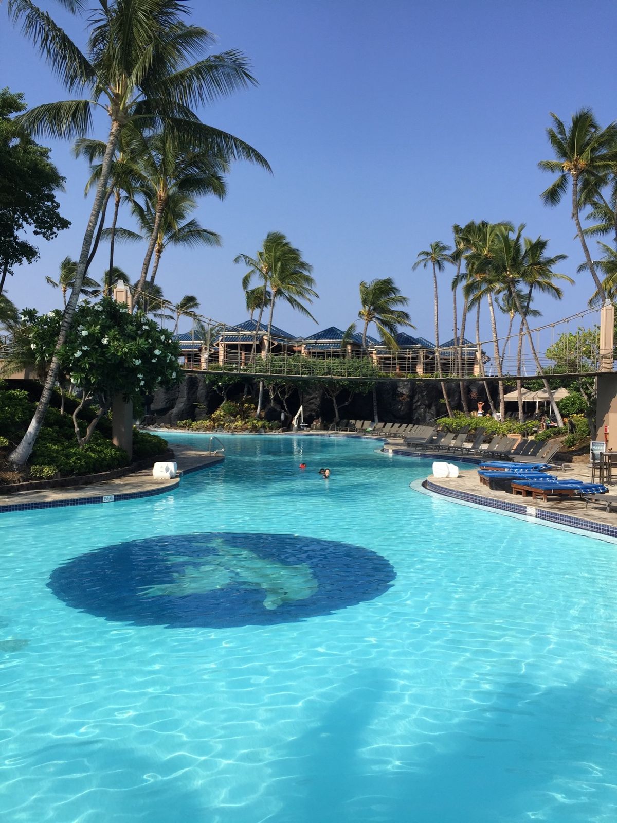 おはようございます。 起きてカーテンを開けたらすぐそこには魅力的なプール✨...