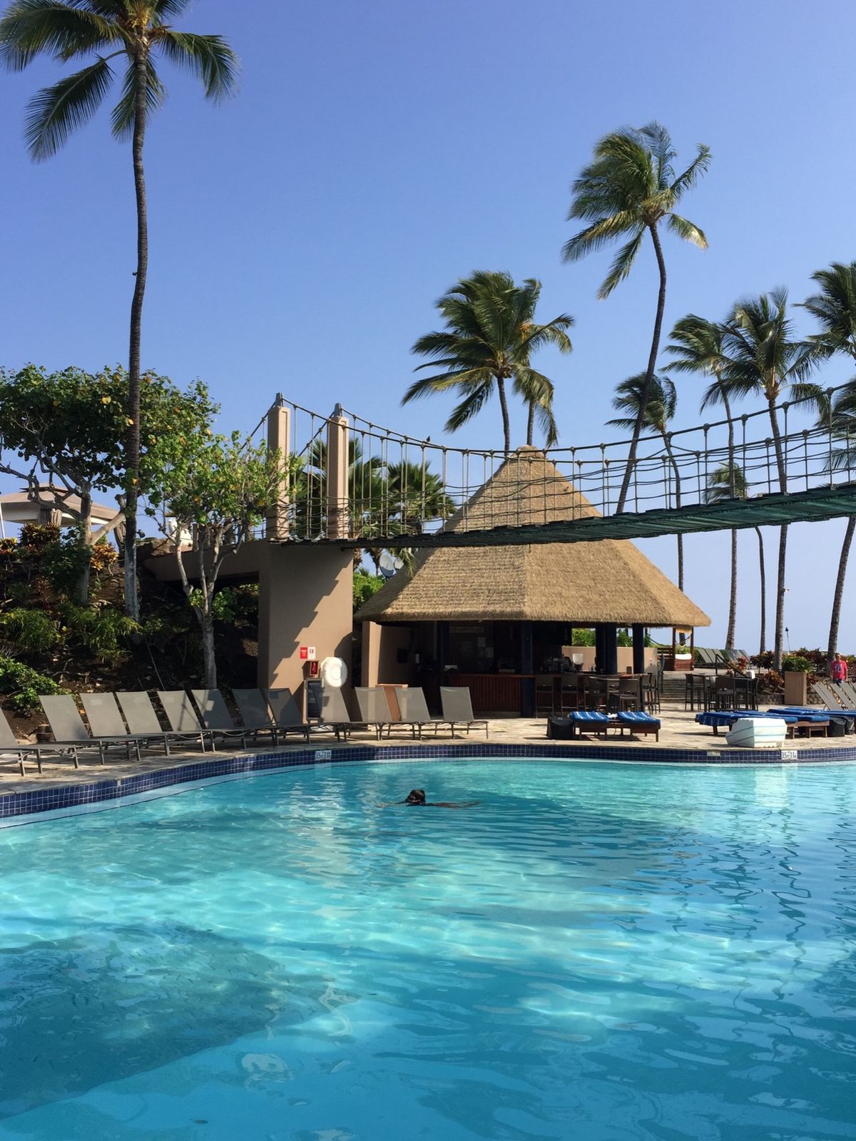 おはようございます。 起きてカーテンを開けたらすぐそこには魅力的なプール✨...