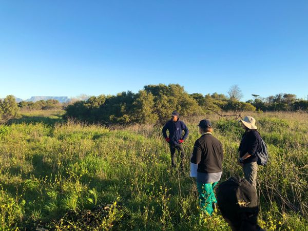 南アフリカ・ケープタウン「ペンギン調査に参加！」の写真：トランスポンダーの設置

青のBOXの中...