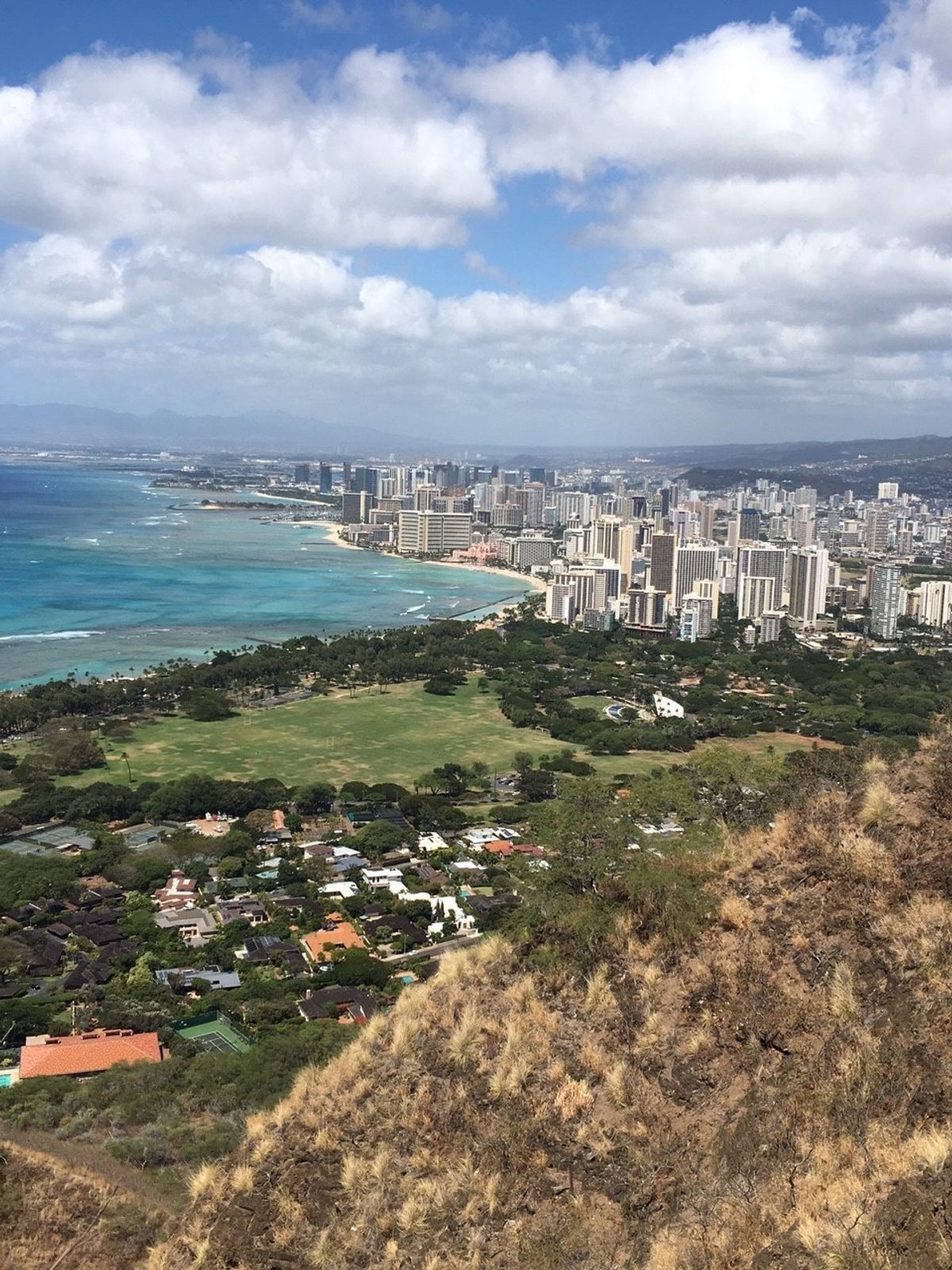 初ハワイ🌺アサイボウル🥄STAR OF Honolulu🚢ハワイ出雲大社⛩