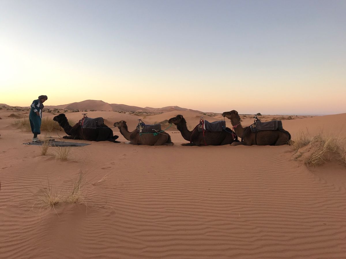 サハラ砂漠🏜でサンセット→砂漠キャンプでカウントダウン→初日の出🐪☆