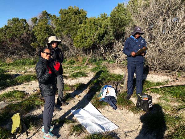 南アフリカ・ケープタウン「ペンギン調査に参加！」の写真：ロベン島2日目の午前中はチックコンディシ...