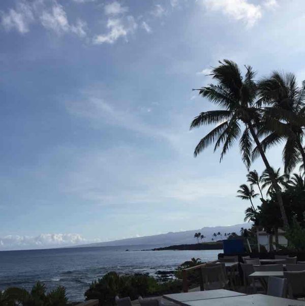 アメリカ(米国)・マウナケア「2018 大好きbigisland❤️ ハワイ島家族旅行」の写真：おはようございます。  3日目も朝から快...